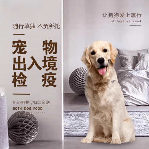 天水市宠物托运到哥伦比亚猫狗宠物入境规定和
