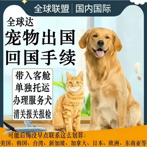 天水市宠物托运到柬埔寨宠物入境规定和要求