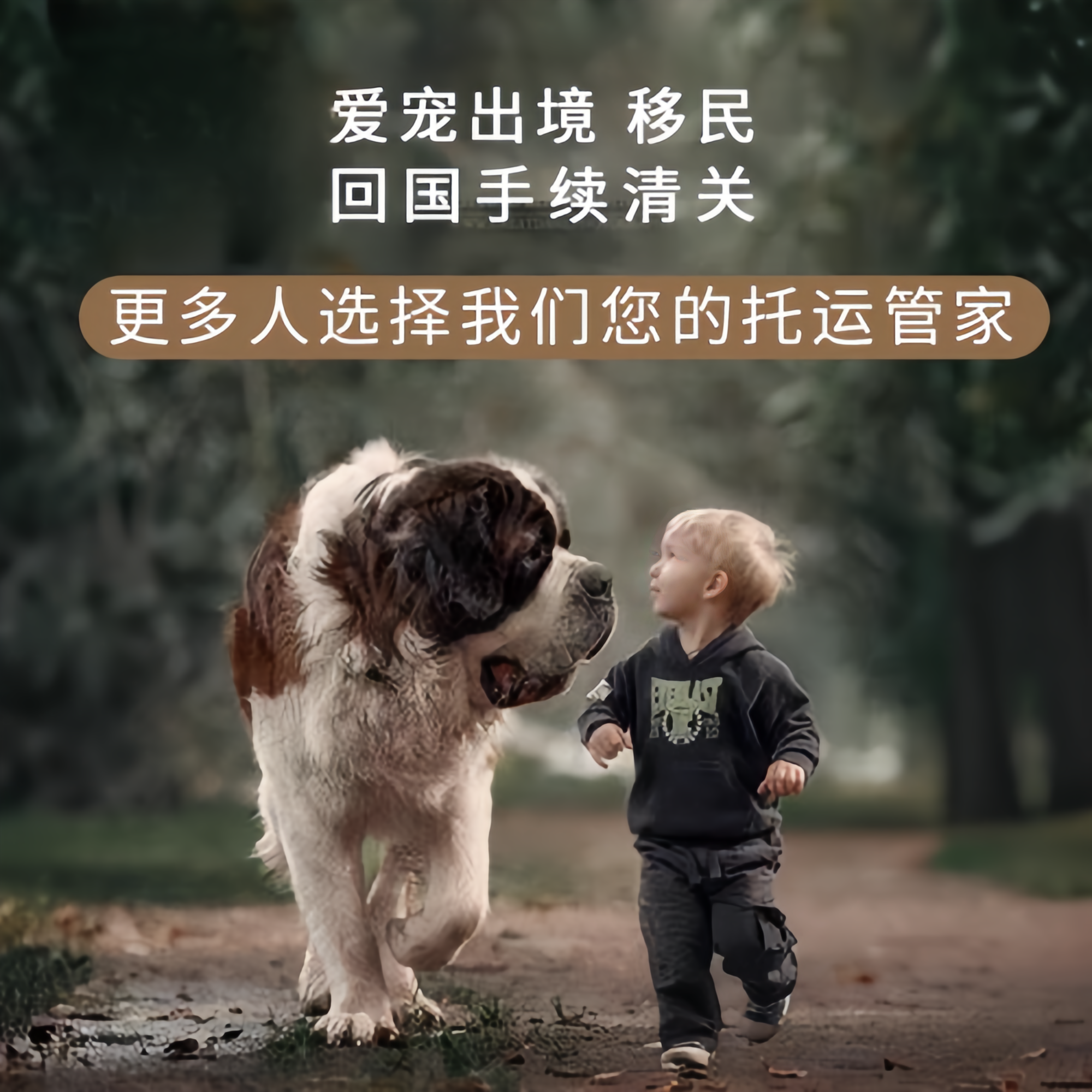 满财天水市宠物全球达宠物托运在遵守入境目的地政策的条件
