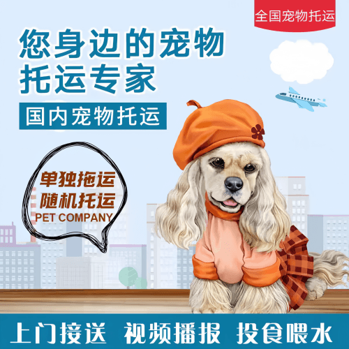 满财天水市宠物全球达宠物托运作为专业的宠物运输代理机构